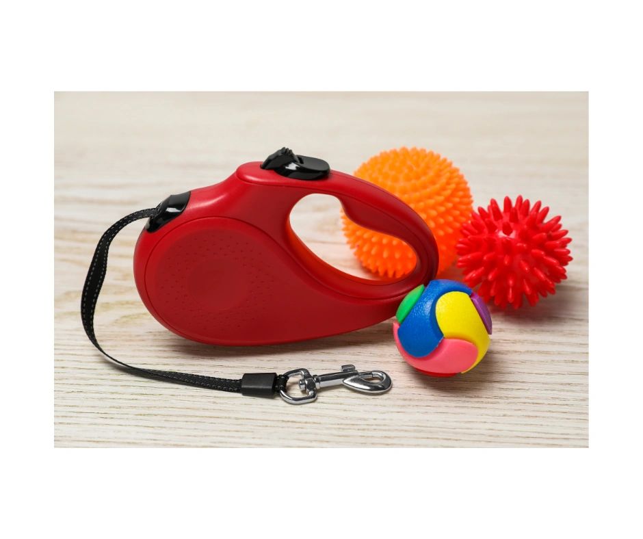 10 Reasons Not to Use a Retractable Leash